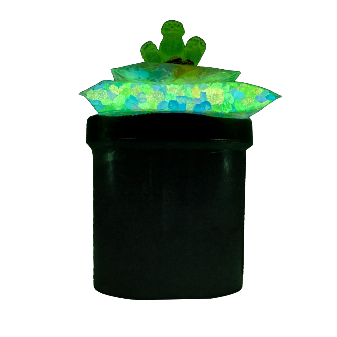 Purple Reef