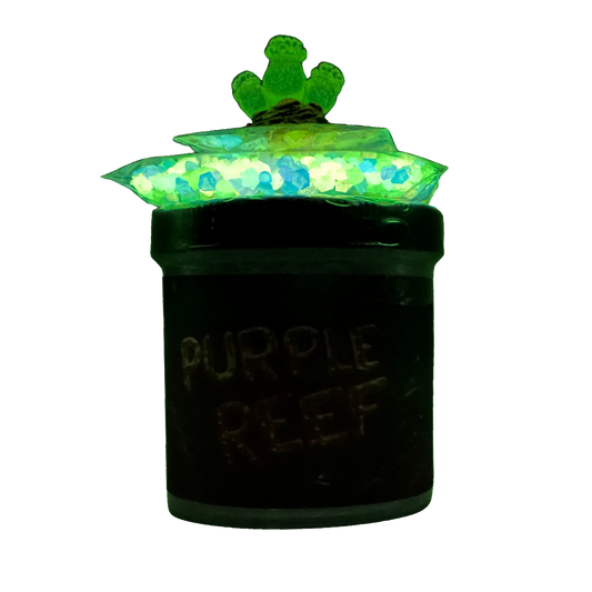 Purple Reef