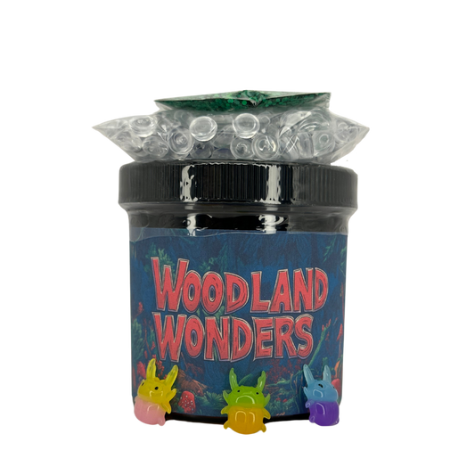 Woodland Wonders